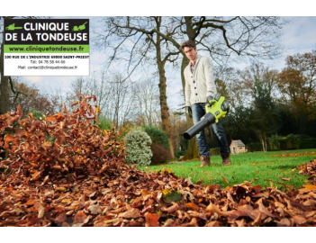 Vente en ligne SOUFFLEUR TURBO JET WHISPER 36V - BRUSH RYOBI RY36BLXB-150 MACHINE A BATTERIE RYOBI DIVERS