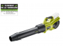 SOUFFLEUR TURBO JET WHISPER 36V - BRUSH RY36BLXB-150 RYOBI
