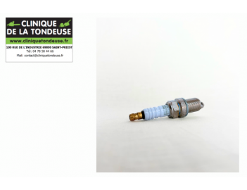 bougie champion - oe013 - rc12yc