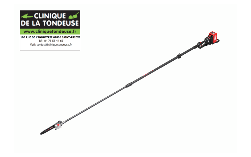 perche élagueuse kress