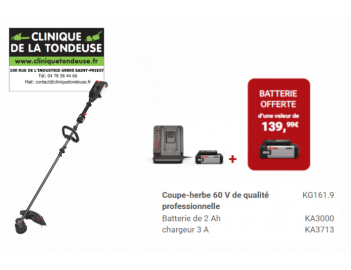 COUPE BORDURES 60V 38 CM...