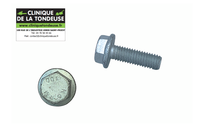 G00009085 - AS MOTOR - Clinique tondeuse