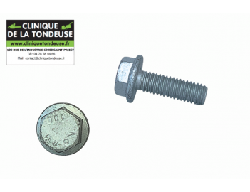 G00009085 - AS MOTOR - Clinique tondeuse