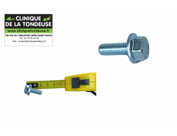 G00009094 - AS MOTOR - Clinique tondeuse