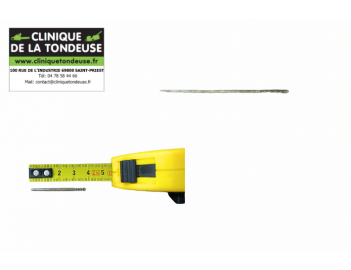G00750025 - AS MOTOR - Clinique tondeuse