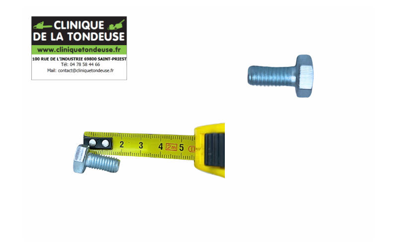G07838006 - AS MOTOR - Clinique tondeuse