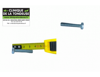 G07838027 - AS MOTOR - Clinique tondeuse