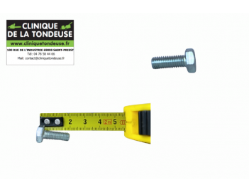G07838013 - AS MOTOR - Clinique tondeuse