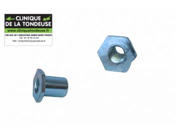 G06725027 - AS MOTOR - Clinique tondeuse