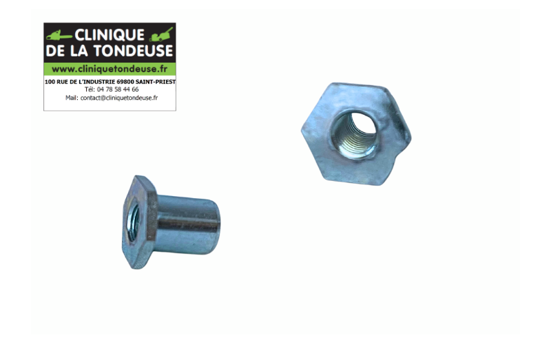 G06725027 - AS MOTOR - Clinique tondeuse