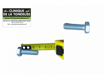 G07838029 - AS MOTOR - Clinique tondeuse