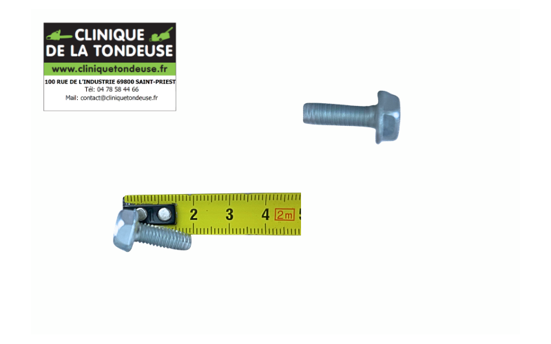 G00009024 - AS MOTOR - Clinique tondeuse