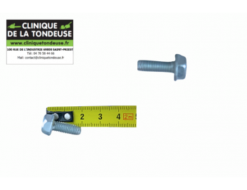G00009024 - AS MOTOR - Clinique tondeuse