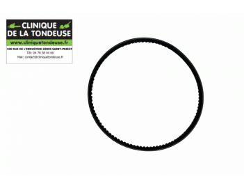 G05950033 - AS MOTOR - Clinique tondeuse
