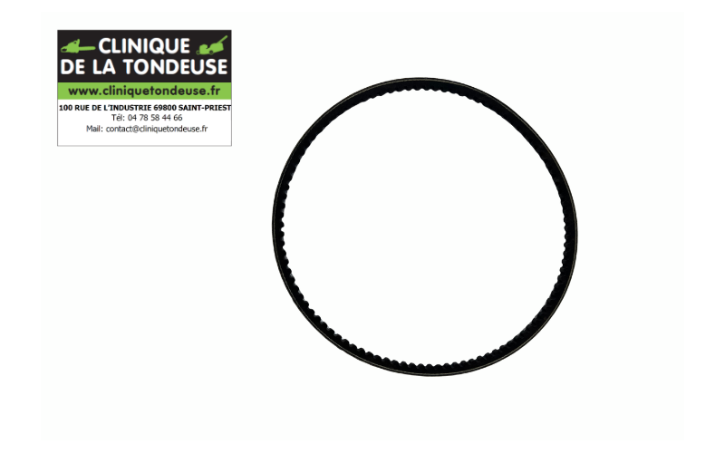 G05950033 - AS MOTOR - Clinique tondeuse