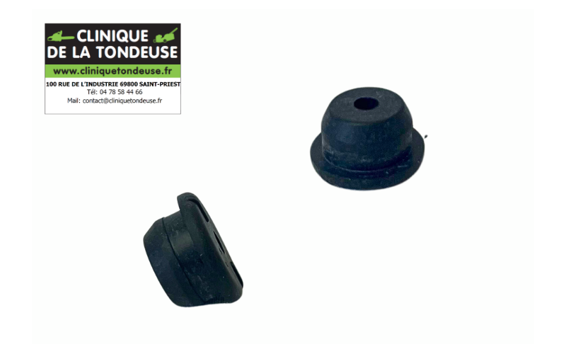 V137000021 - Echo - Clinique tondeuse