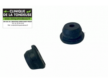 V137000021 - Echo - Clinique tondeuse
