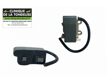 A411000502 - Echo - Clinique tondeuse