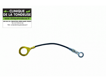 16201039131 - Echo - Clinique tondeuse