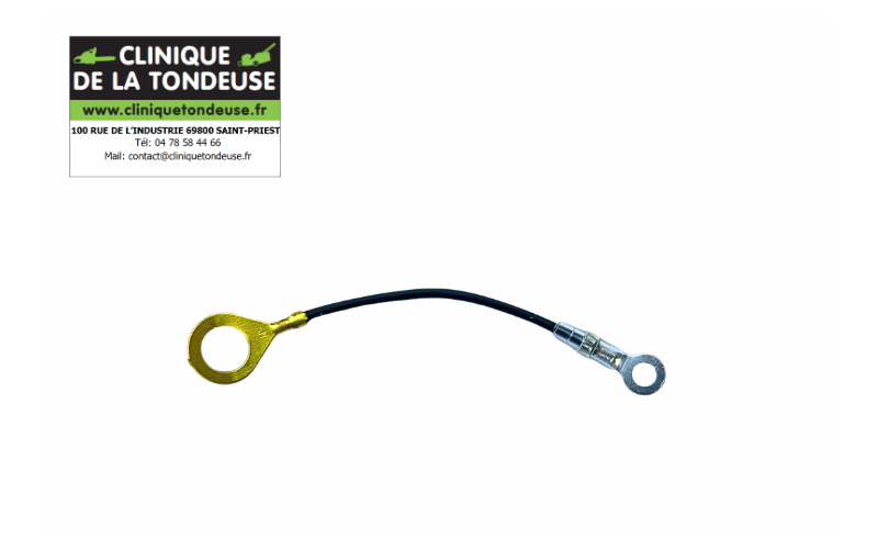 16201039131 - Echo - Clinique tondeuse
