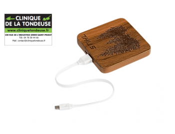 04202600003 - STIHL - Clinique tondeuse