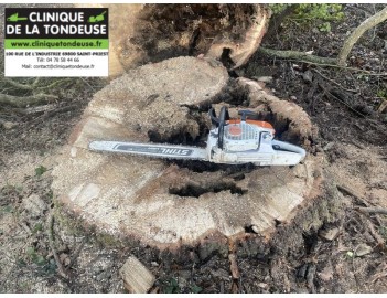 une tronçonneuse thermique puissante et polyvalente TRONÇONNEUSE STIHL MS 462 C-M ROLLO 63cm LIGHT RM