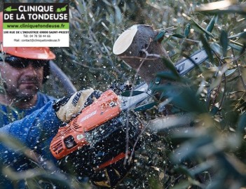 ECHO CS 2511TES machine puissante Couper du bois