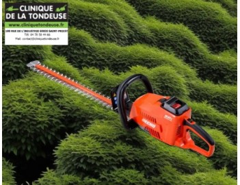 Coupe haies - taille haies ECHO