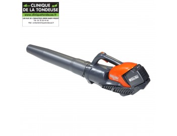 SOUFFLEUR A BATTERIE BVI 60