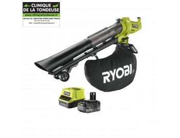 SOUFFLEUR ASPIRO-BROYEUR 18V HP - 2-EN-1