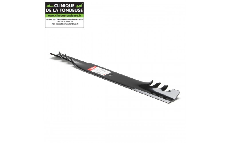 LAME SCAG 3-IN-1 21IN