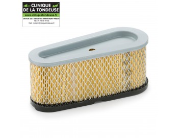 FILTRE A AIR BRIGGS & S.