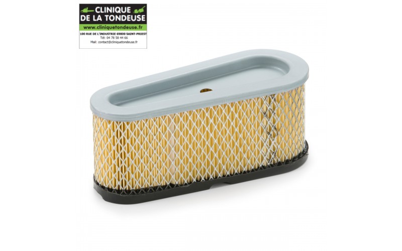 FILTRE A AIR BRIGGS & S.