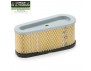 FILTRE A AIR BRIGGS & S.