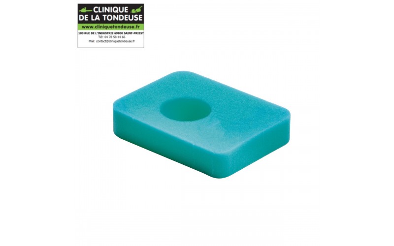 FILTRE A AIR B.& S. 799579