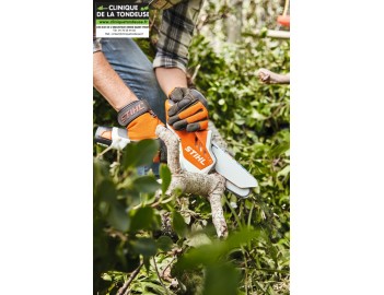 Pack mini-tronçonneuse à batterie STIHL GTA 26 + AS 2 + AL 1 + rallonge – vue 4