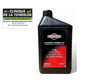 100008E - BRIGGS STRATTON - Clinique tondeuse