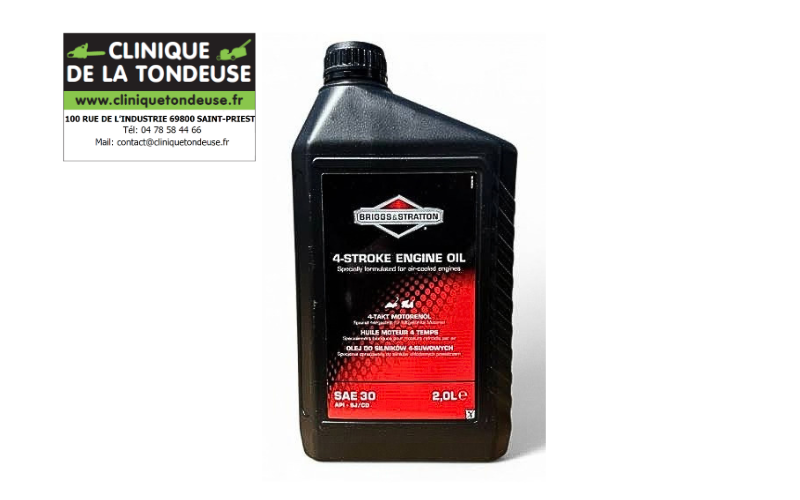 100008E - BRIGGS STRATTON - Clinique tondeuse