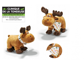 04216000185 - STIHL - Clinique tondeuse