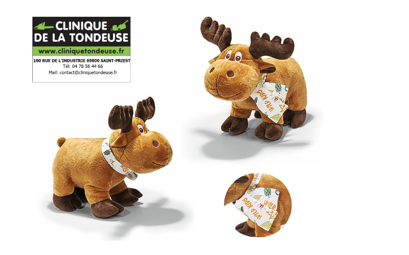 04216000185 - STIHL - Clinique tondeuse