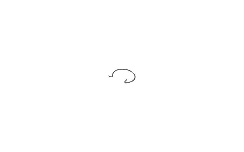 RESSORT DEPINGLE (2 STK.) RESSORT DEPINGLE (2 STK.)