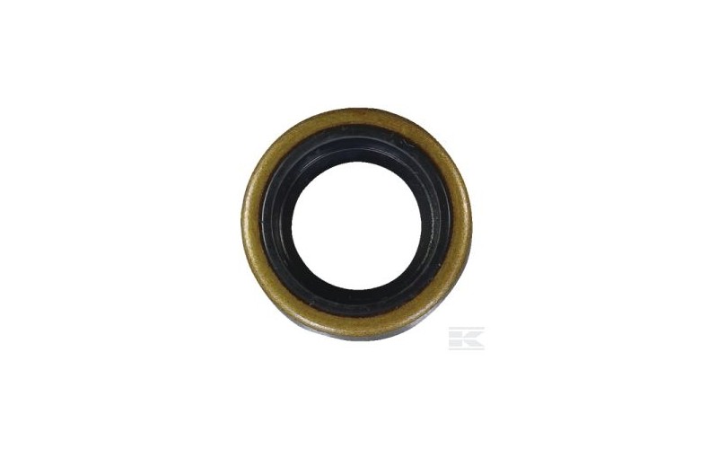 BAGUE A LEVRES BAGUE A LEVRES