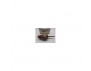 390837 ARMATURE DEMARREUR