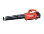 SOUFFLEUR ELECTRIQUE ECHO PLB58V2A PACK