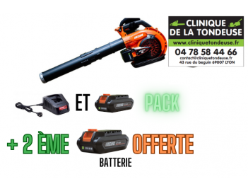 DPB 2600/C2 PACK  SOUFFLEUR A BATTERIE PACK ECHO +2ème Batterie offerte !