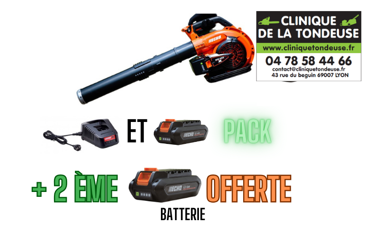 DPB 2600/C2 PACK  SOUFFLEUR A BATTERIE PACK ECHO +2ème Batterie offerte !