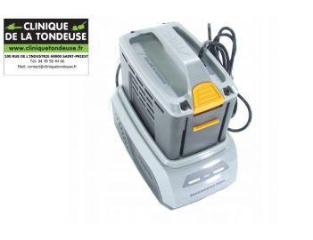 118810754/0 CHARGEUR ET BATTERIE DE DIAGNOSTIC