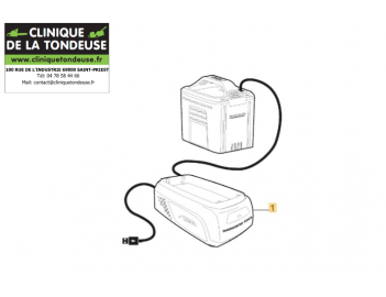 CHARGEUR ET BATTERIE DE DIAGNOSTIC
