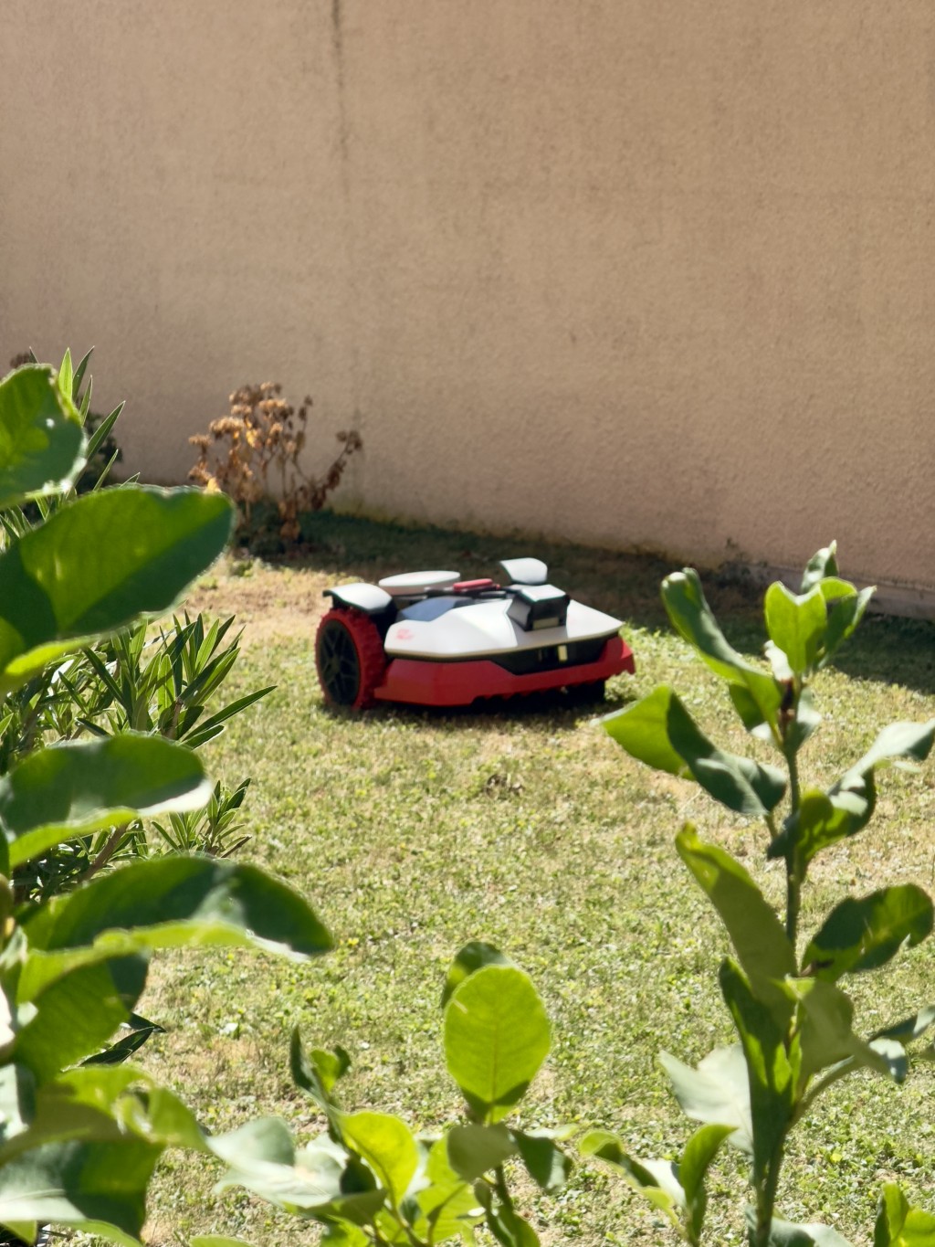 Quels sont les avantages et les inconvénients des robots tondeuses ?